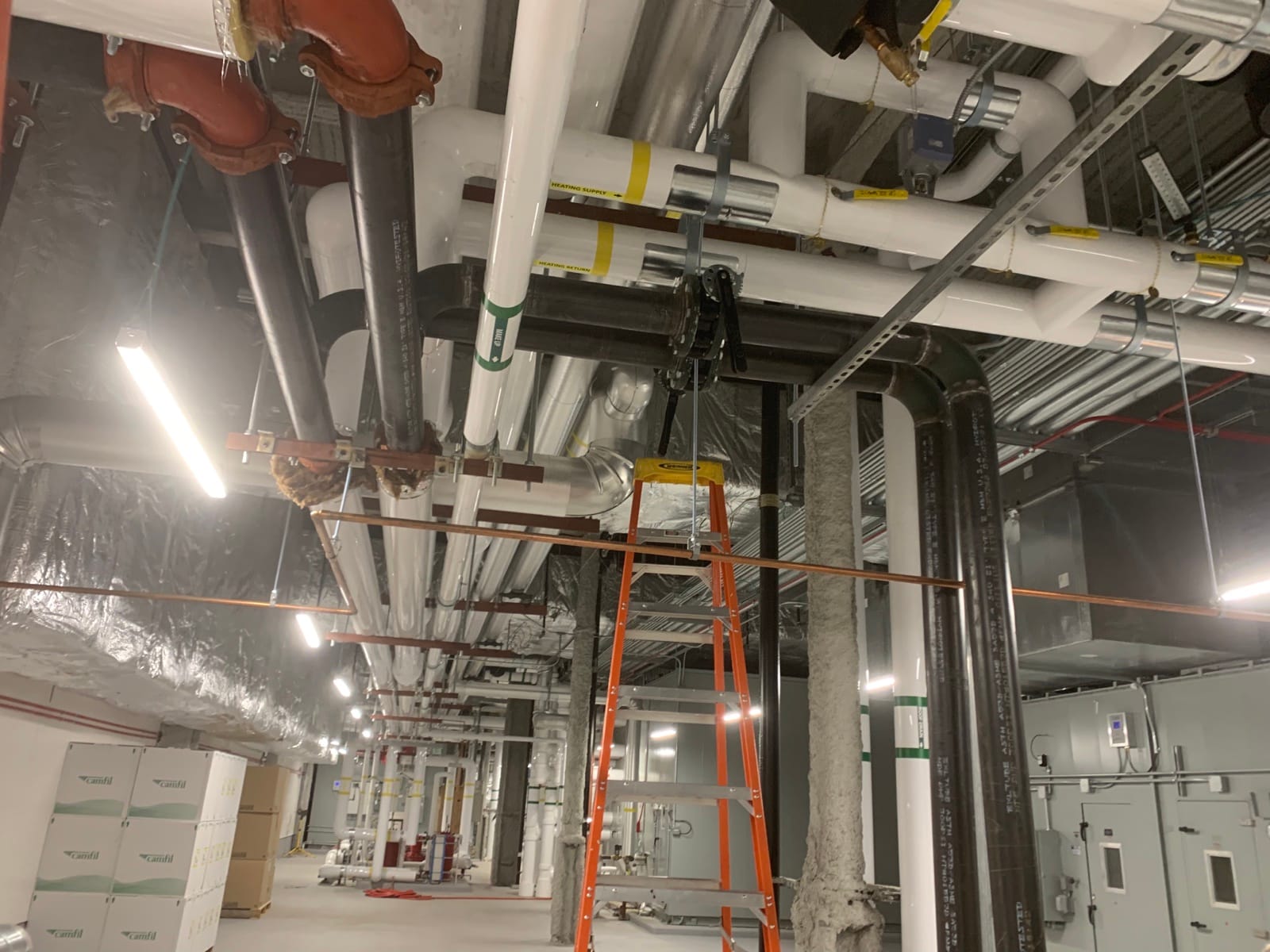 Photo Mar 17 2022, 7 29 50 PM